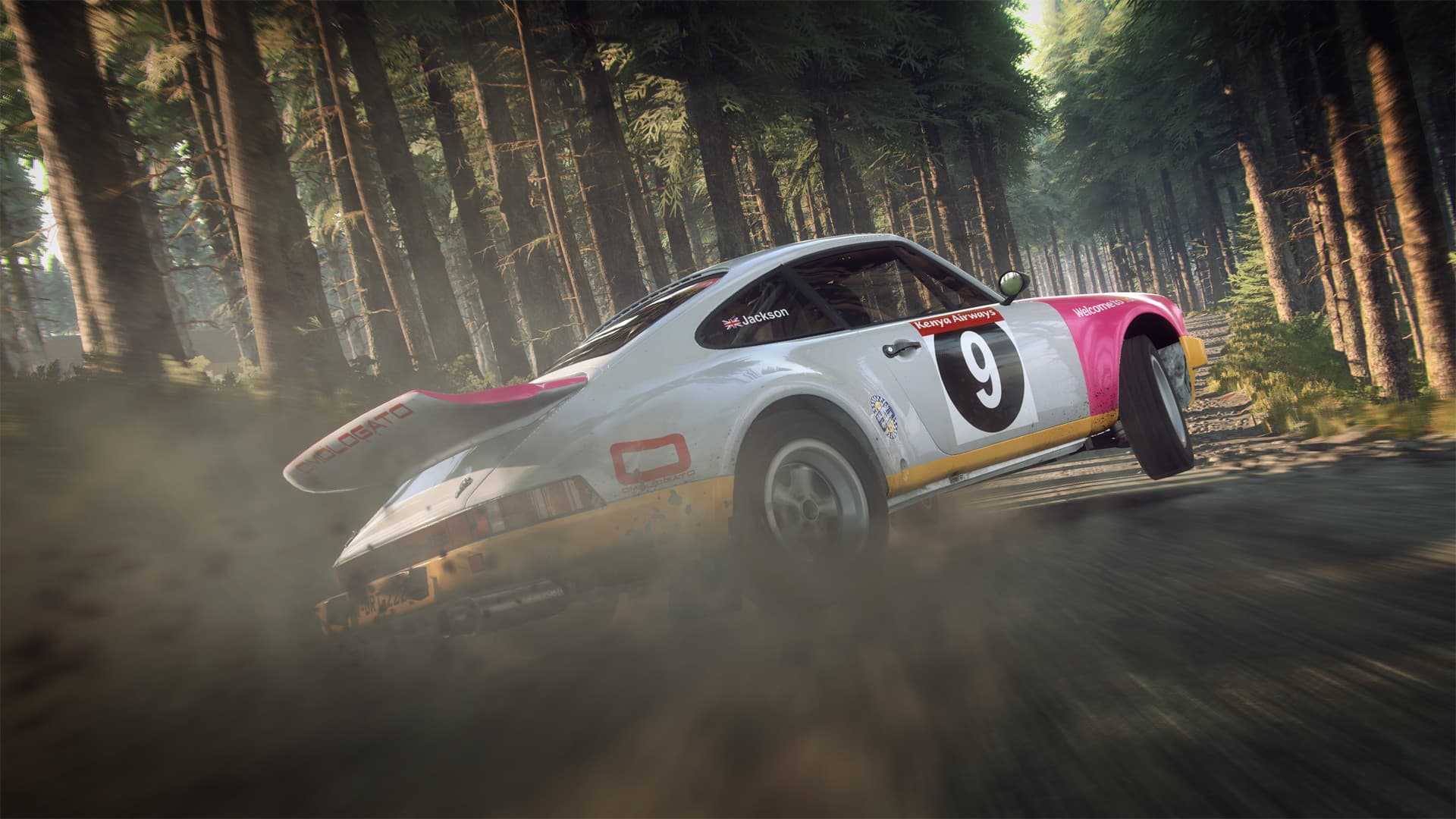 DiRT Rally 2.0 screenshot 2