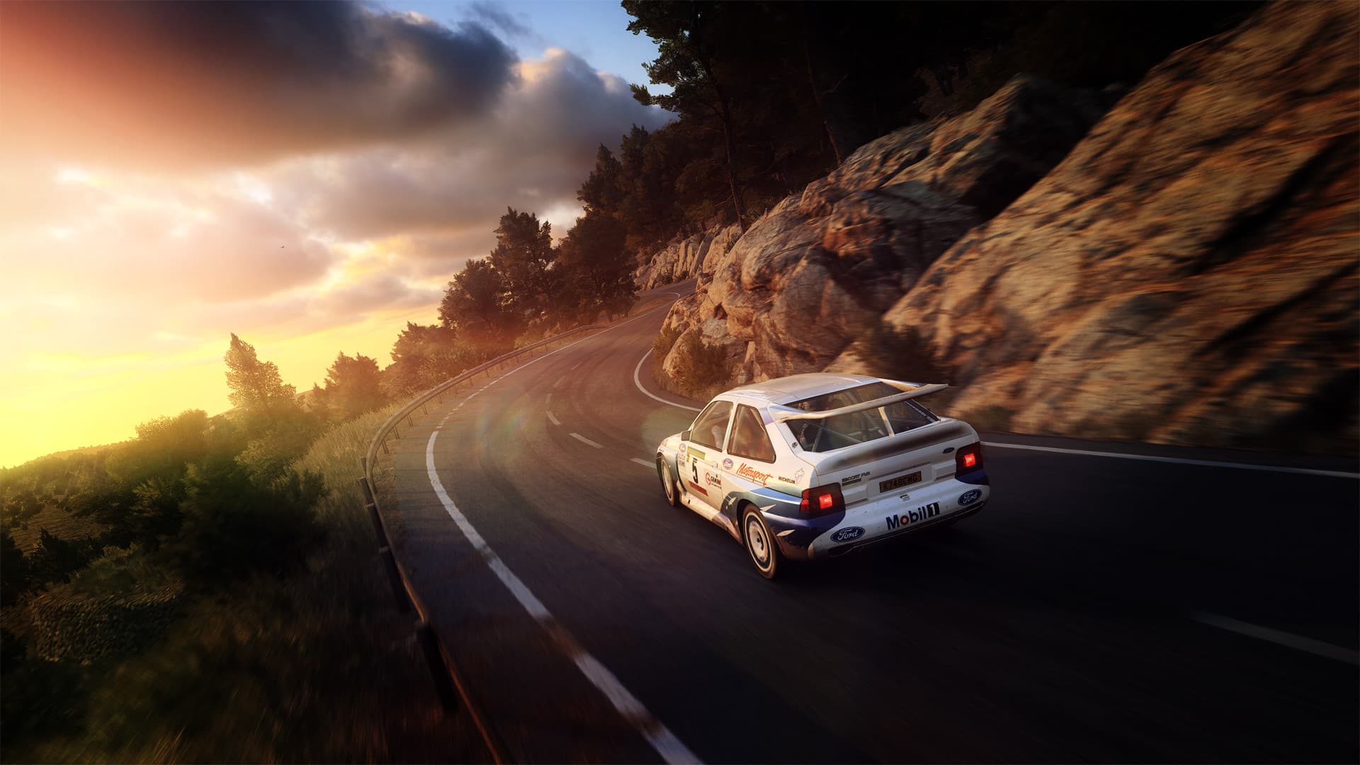 DiRT Rally 2.0 screenshot 28